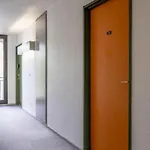 Slalom Chamois Blanc Appartement